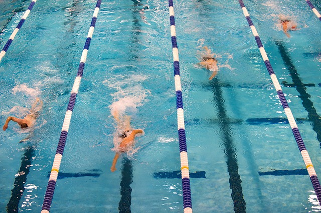 plavání soutěž